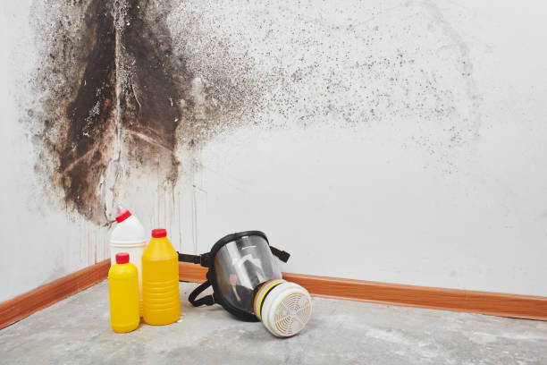 Best Mold Remediation Services  in Centreville, VA