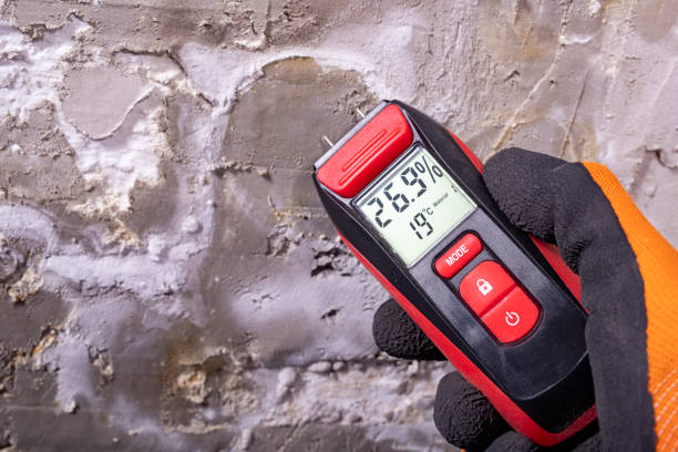 Best Attic Mold Removal  in Centreville, VA