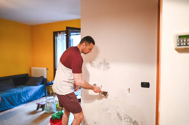 Centreville, VA Mold Removal Company