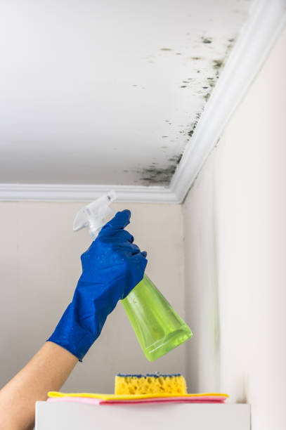 Water Damage Restoration in Centreville, VA